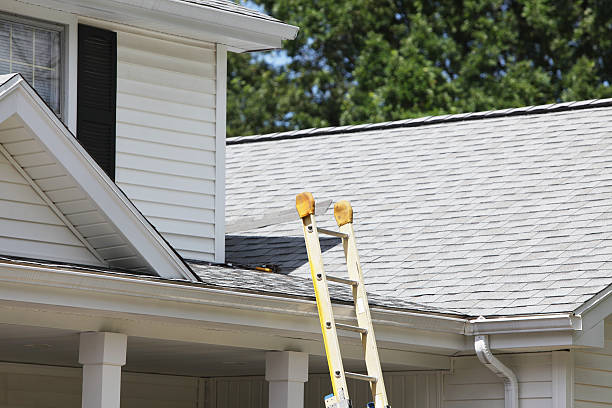 Best Custom Trim and Detailing for Siding  in Fort Totten, ND